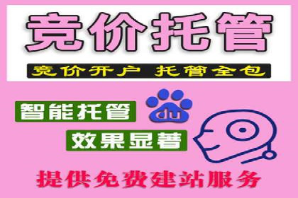 SEM代理实战：案例分享，效果惊人