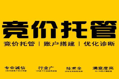 网络推广竞价实战案例全解析